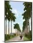 Avenue of Palms, Havana, 1903-null-Mounted Premium Giclee Print