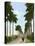 Avenue of Palms, Havana, 1903-null-Stretched Canvas