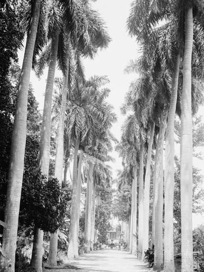 Photo, , large