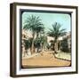 Avenue of Palms, Hyeres, France, Late 19th or Early 20th Century-null-Framed Giclee Print