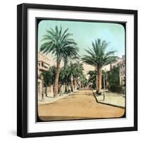 Avenue of Palms, Hyeres, France, Late 19th or Early 20th Century-null-Framed Giclee Print