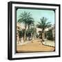 Avenue of Palms, Hyeres, France, Late 19th or Early 20th Century-null-Framed Giclee Print