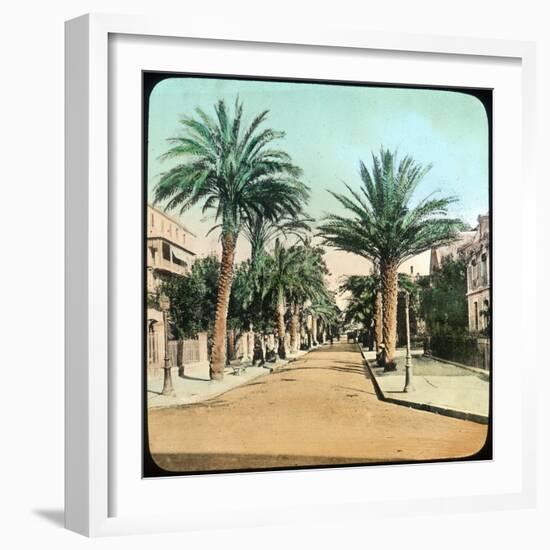 Avenue of Palms, Hyeres, France, Late 19th or Early 20th Century-null-Framed Giclee Print