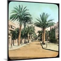 Avenue of Palms, Hyeres, France, Late 19th or Early 20th Century-null-Mounted Giclee Print
