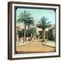 Avenue of Palms, Hyeres, France, Late 19th or Early 20th Century-null-Framed Giclee Print