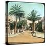 Avenue of Palms, Hyeres, France, Late 19th or Early 20th Century-null-Stretched Canvas