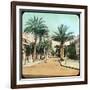 Avenue of Palms, Hyeres, France, Late 19th or Early 20th Century-null-Framed Giclee Print