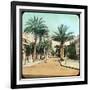 Avenue of Palms, Hyeres, France, Late 19th or Early 20th Century-null-Framed Giclee Print