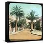 Avenue of Palms, Hyeres, France, Late 19th or Early 20th Century-null-Framed Stretched Canvas