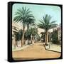 Avenue of Palms, Hyeres, France, Late 19th or Early 20th Century-null-Framed Stretched Canvas