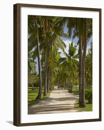 Avenue of Palms, Musket Cove Island Resort, Malolo Lailai Island, Mamanuca Islands, Fiji-David Wall-Framed Photographic Print