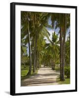 Avenue of Palms, Musket Cove Island Resort, Malolo Lailai Island, Mamanuca Islands, Fiji-David Wall-Framed Photographic Print