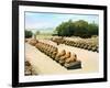 Avenue of Ram-Headed Sphinxes, Temple of Amun-Re, Karnak, Luxor, Egypt, 20th Century-null-Framed Giclee Print