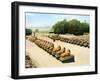 Avenue of Ram-Headed Sphinxes, Temple of Amun-Re, Karnak, Luxor, Egypt, 20th Century-null-Framed Giclee Print