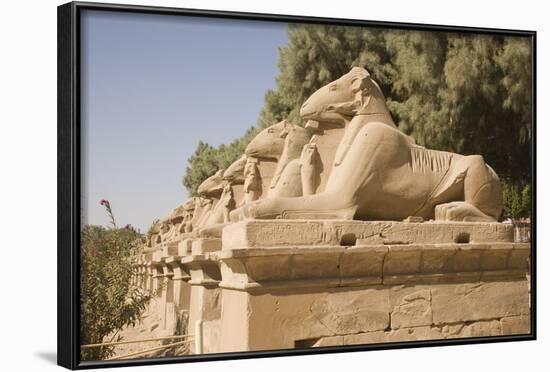 Avenue of Rams Leading to Temple Precinct-Philip Craven-Framed Photographic Print