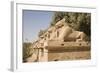 Avenue of Rams Leading to Temple Precinct-Philip Craven-Framed Photographic Print