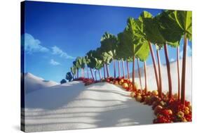 Avenue of Rhubarb Sticks and Fruit in a Sugar Desert-Hartmut Seehuber-Stretched Canvas
