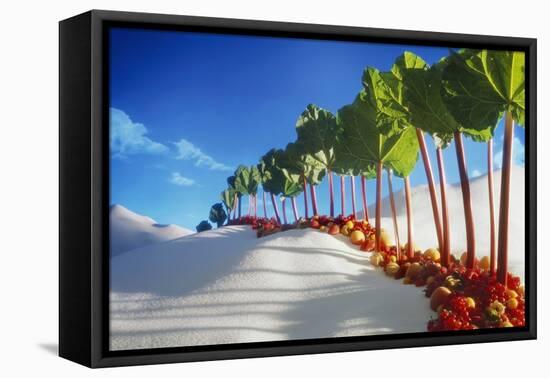 Avenue of Rhubarb Sticks and Fruit in a Sugar Desert-Hartmut Seehuber-Framed Stretched Canvas