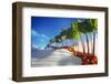 Avenue of Rhubarb Sticks and Fruit in a Sugar Desert-Hartmut Seehuber-Framed Premium Photographic Print