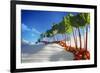 Avenue of Rhubarb Sticks and Fruit in a Sugar Desert-Hartmut Seehuber-Framed Photographic Print