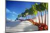 Avenue of Rhubarb Sticks and Fruit in a Sugar Desert-Hartmut Seehuber-Mounted Photographic Print