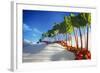 Avenue of Rhubarb Sticks and Fruit in a Sugar Desert-Hartmut Seehuber-Framed Photographic Print