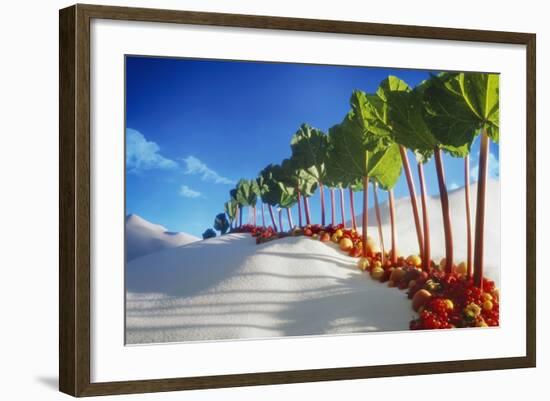 Avenue of Rhubarb Sticks and Fruit in a Sugar Desert-Hartmut Seehuber-Framed Photographic Print