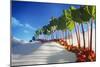 Avenue of Rhubarb Sticks and Fruit in a Sugar Desert-Hartmut Seehuber-Mounted Photographic Print