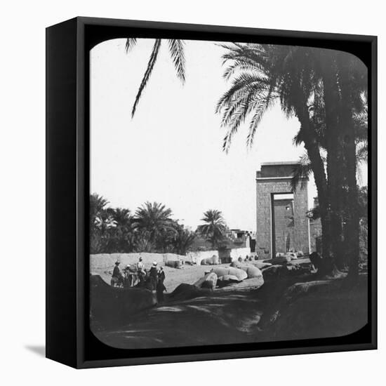Avenue of Sphinxes, Karnak, Egypt, C1890-Newton & Co-Framed Stretched Canvas