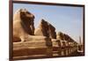 Avenue of Sphinxes, Karnak Temple, Luxor, Thebes, Egypt, North Africa-David Pickford-Framed Photographic Print