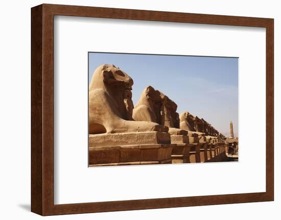 Avenue of Sphinxes, Karnak Temple, Luxor, Thebes, Egypt, North Africa-David Pickford-Framed Photographic Print