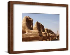 Avenue of Sphinxes, Karnak Temple, Luxor, Thebes, Egypt, North Africa-David Pickford-Framed Photographic Print