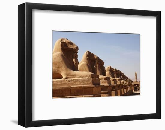 Avenue of Sphinxes, Karnak Temple, Luxor, Thebes, Egypt, North Africa-David Pickford-Framed Photographic Print