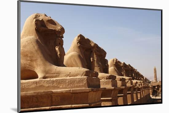 Avenue of Sphinxes, Karnak Temple, Luxor, Thebes, Egypt, North Africa-David Pickford-Mounted Photographic Print