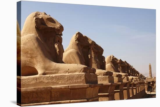 Avenue of Sphinxes, Karnak Temple, Luxor, Thebes, Egypt, North Africa-David Pickford-Stretched Canvas