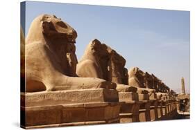 Avenue of Sphinxes, Karnak Temple, Luxor, Thebes, Egypt, North Africa-David Pickford-Stretched Canvas