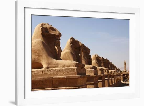 Avenue of Sphinxes, Karnak Temple, Luxor, Thebes, Egypt, North Africa-David Pickford-Framed Photographic Print