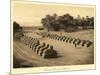 Avenue of Sphinxes, Karnak-null-Mounted Art Print