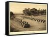 Avenue of Sphinxes, Karnak-null-Framed Stretched Canvas