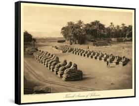 Avenue of Sphinxes, Karnak-null-Framed Stretched Canvas