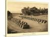 Avenue of Sphinxes, Karnak-null-Stretched Canvas
