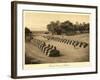 Avenue of Sphinxes, Karnak-null-Framed Art Print