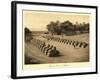 Avenue of Sphinxes, Karnak-null-Framed Art Print