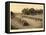 Avenue of Sphinxes, Karnak-null-Framed Stretched Canvas