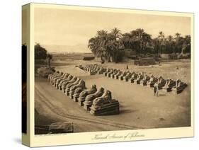 Avenue of Sphinxes, Karnak-null-Stretched Canvas