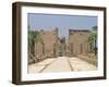 Avenue of Sphinxes Looking Towards Statues of Ramses II, Luxor Temple, Luxor, Thebes, Egypt-Gavin Hellier-Framed Photographic Print