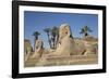 Avenue of Sphinxes, Luxor Temple, Luxor, Thebes, Egypt, North Africa, Africa-Richard Maschmeyer-Framed Photographic Print