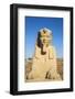 Avenue of Sphinxes, Luxor Temple, UNESCO World Heritage Site, Luxor, Egypt, North Africa, Africa-Jane Sweeney-Framed Photographic Print