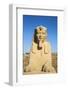 Avenue of Sphinxes, Luxor Temple, UNESCO World Heritage Site, Luxor, Egypt, North Africa, Africa-Jane Sweeney-Framed Photographic Print