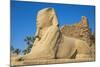 Avenue of Sphinxes, Luxor Temple, UNESCO World Heritage Site, Luxor, Egypt, North Africa, Africa-Jane Sweeney-Mounted Photographic Print